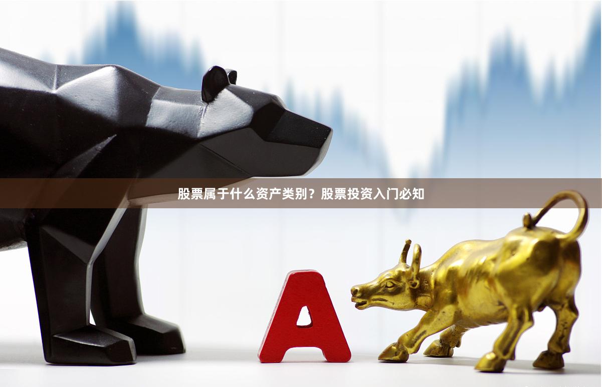 股票属于什么资产类别？股票投资入门必知